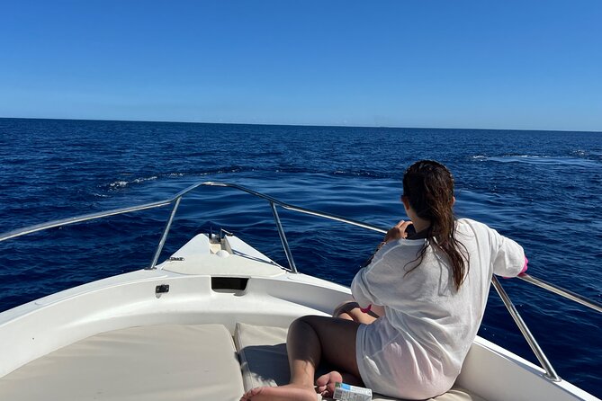 Whale Watching and Private Ocean Safari Experience in Mauritius - How the oceanographer helps you read sperm whales from offshore