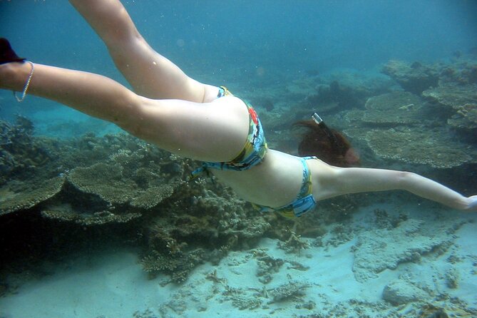 Whale Watching and Private Ocean Safari Experience in Mauritius - Dolphins, snorkeling, and the Le Morne UNESCO backdrop