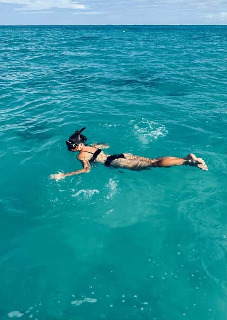 Wild Dolphin Encounter & Snorkeling Adventure – Mauritius. - Snorkeling in clear water, with gear you can trust