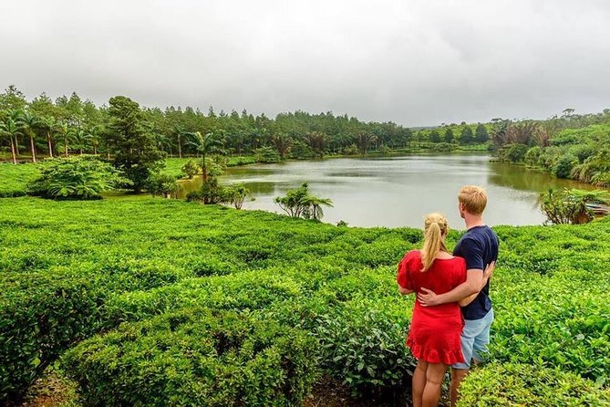 Wild South: Full-Day tour incl Rhumerie St Aubin, Bois cheri Tea factory & Lunch - Key Points You’ll Actually Care About
