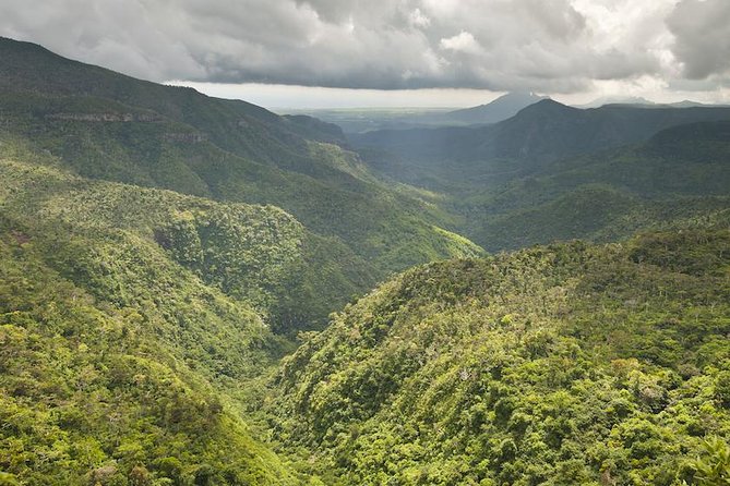 Wild South: Full-Day tour incl Rhumerie St Aubin, Bois cheri Tea factory & Lunch - Mare aux Vacoas Reservoir: The Quiet Reset Between Big Stops