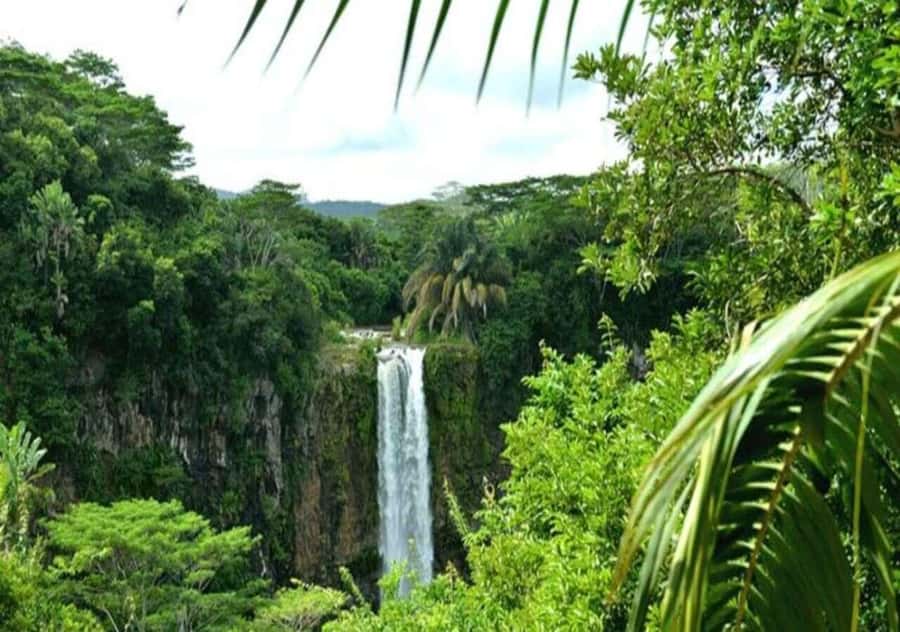 Wild South West Private Tour with pick up - Private pickup and an 8-hour southwest Mauritius rhythm