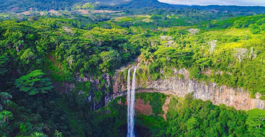 Wild South West Private Tour with pick up - Guides, languages, and what makes the private part matter