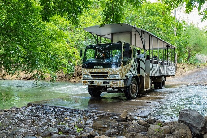 Wild South West Tour : SAFARI & TULAWAKA CASELA PARK & LE MORNE - Tamarind and a South-West Village: The Photo-Pause Style
