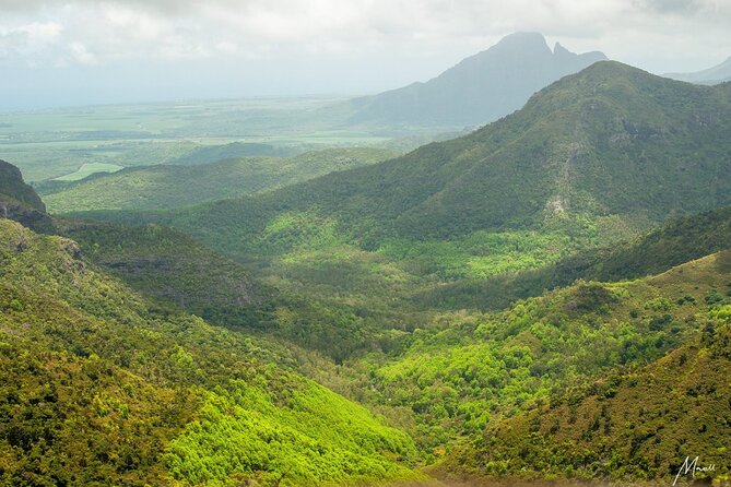 Wild South with Waterfalls & Rare Exotic Viewpoints with Lunch - Telfair Garden and the Souillac Area: Trees, Social Media Triggers, and Real Quiet